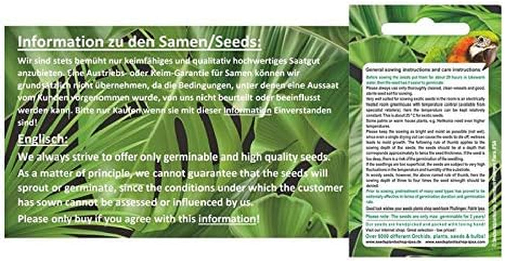 Stk - 3X Sclerocarya Birrea Marula Baum Elefantenbaum Pflanzen - Samen ID218 -