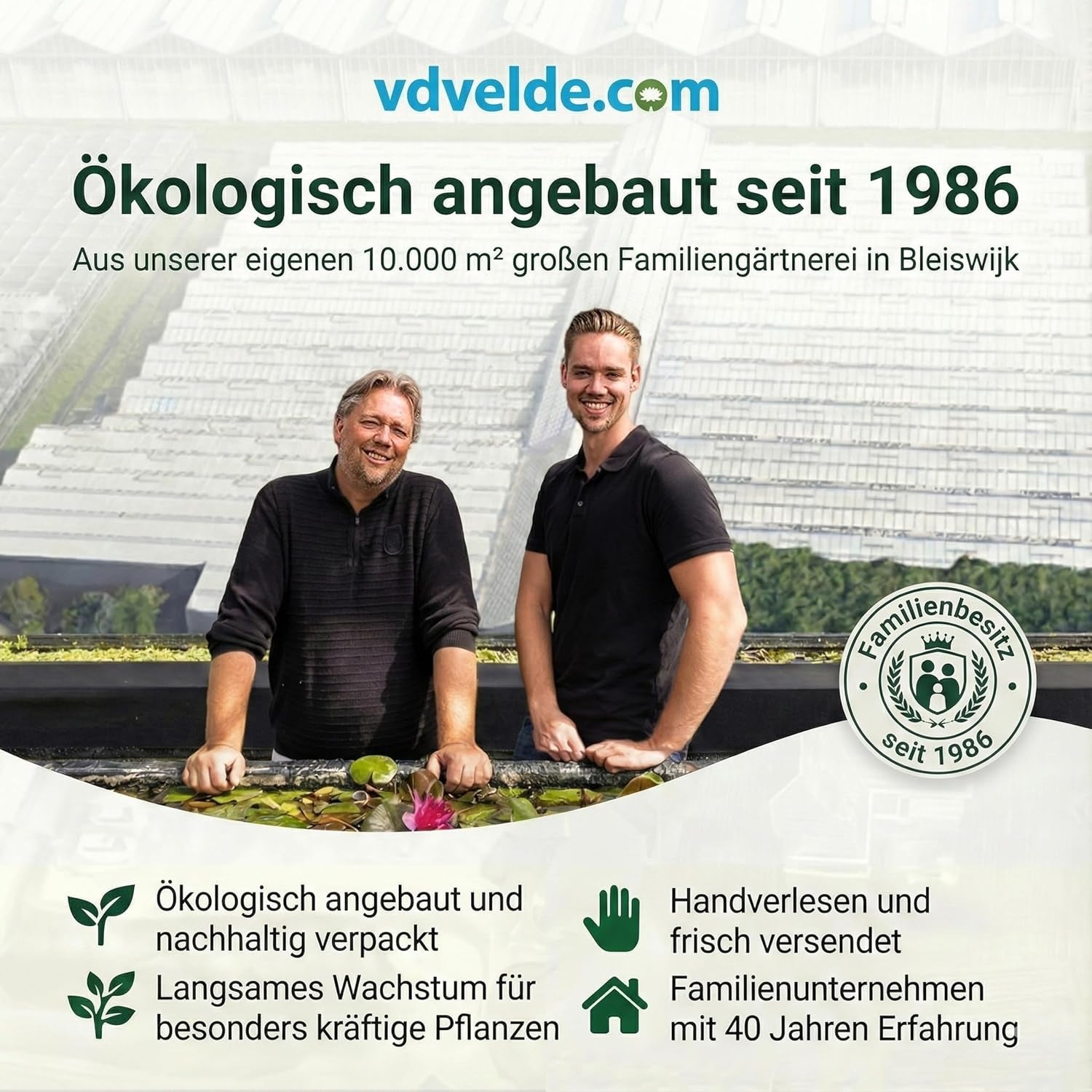 Vdvelde.Com - Tillandsia Spray - • Pflege Für Luftpflanzen • 3 X 125 Ml • in Praktischer Sprühflasche