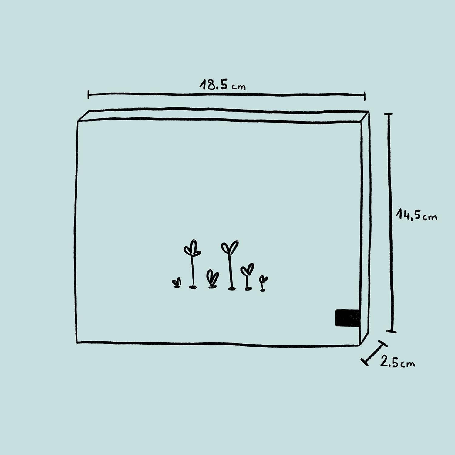 Fragrant plants - gift set with seeds and 6 plants with beautifully fragrant flowers