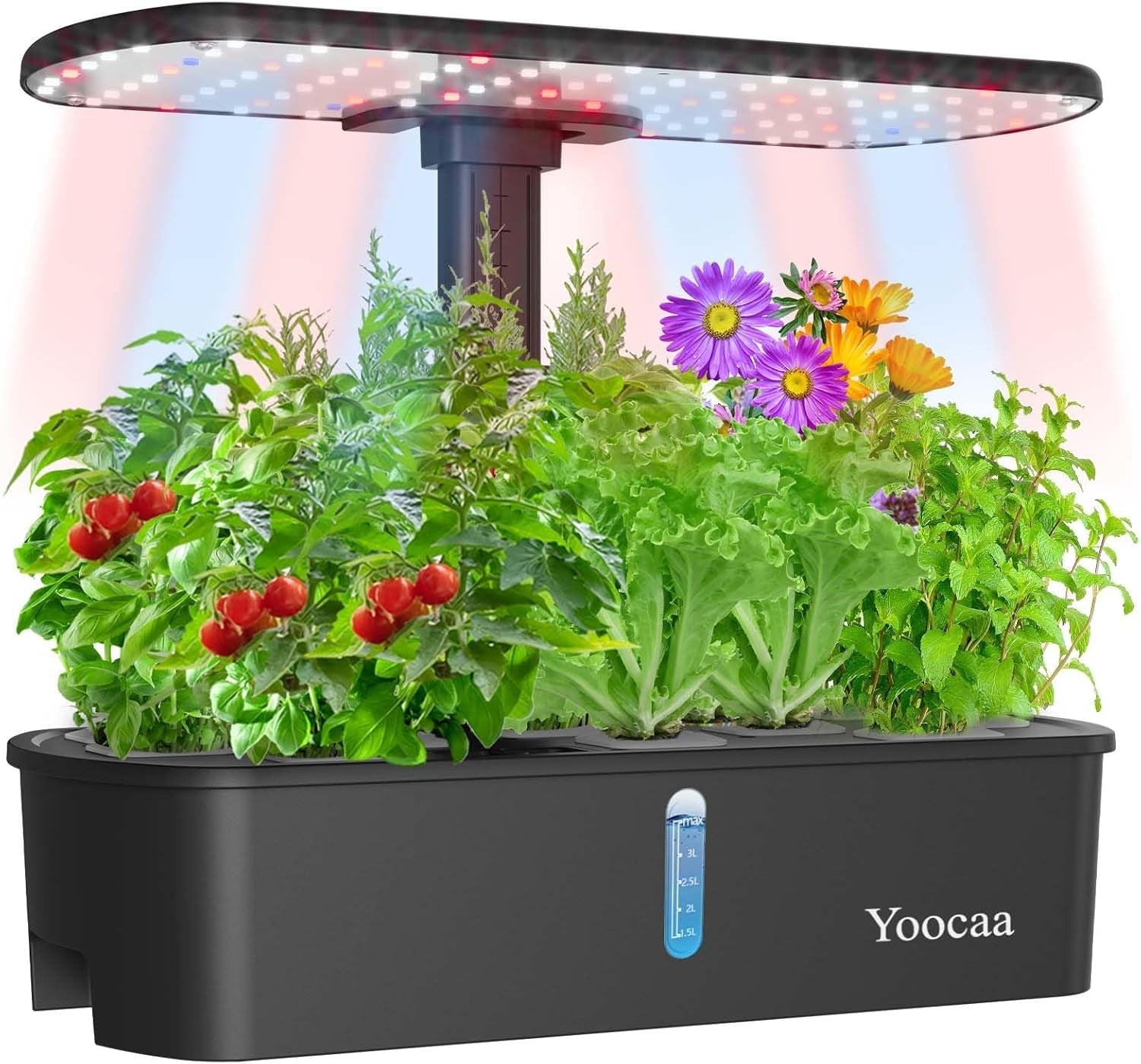Sistem de creștere hidroponică pentru 12 plante, grădină de plante aromatice de interior cu cronometru automat, pompă, kit inteligent de creștere a grădinii reglabil pe înălțime (semințele nu sunt incluse)