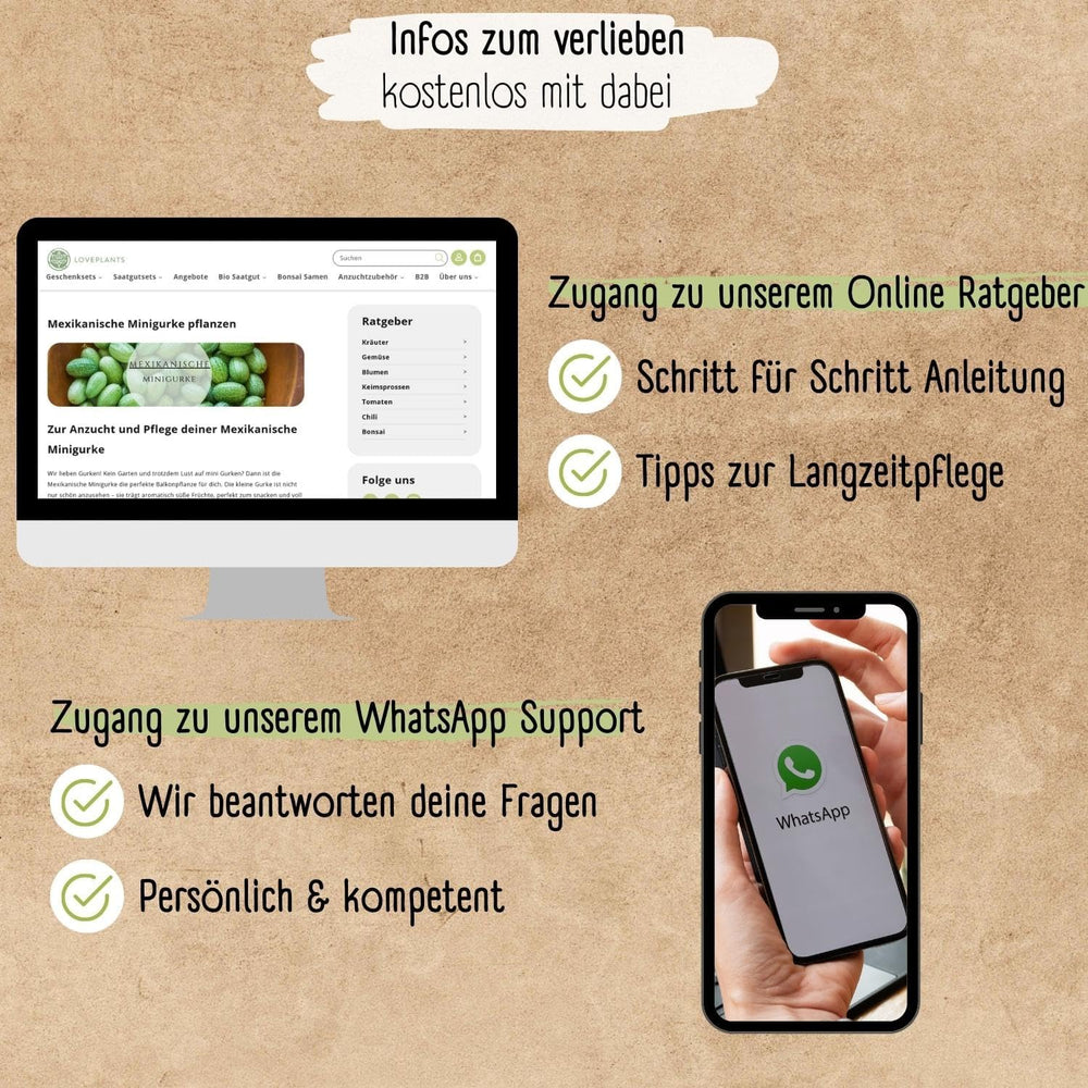 Organic Mini Mexican Cucumber Seeds, 10 Snack Cucumber Seeds, High Germination Rate, Demeter Certified & Open Pollinated | LOVEPLANTS Balcony Garden Raised Bed Vegetable Seeds - Heirloom Vegetable Varieties