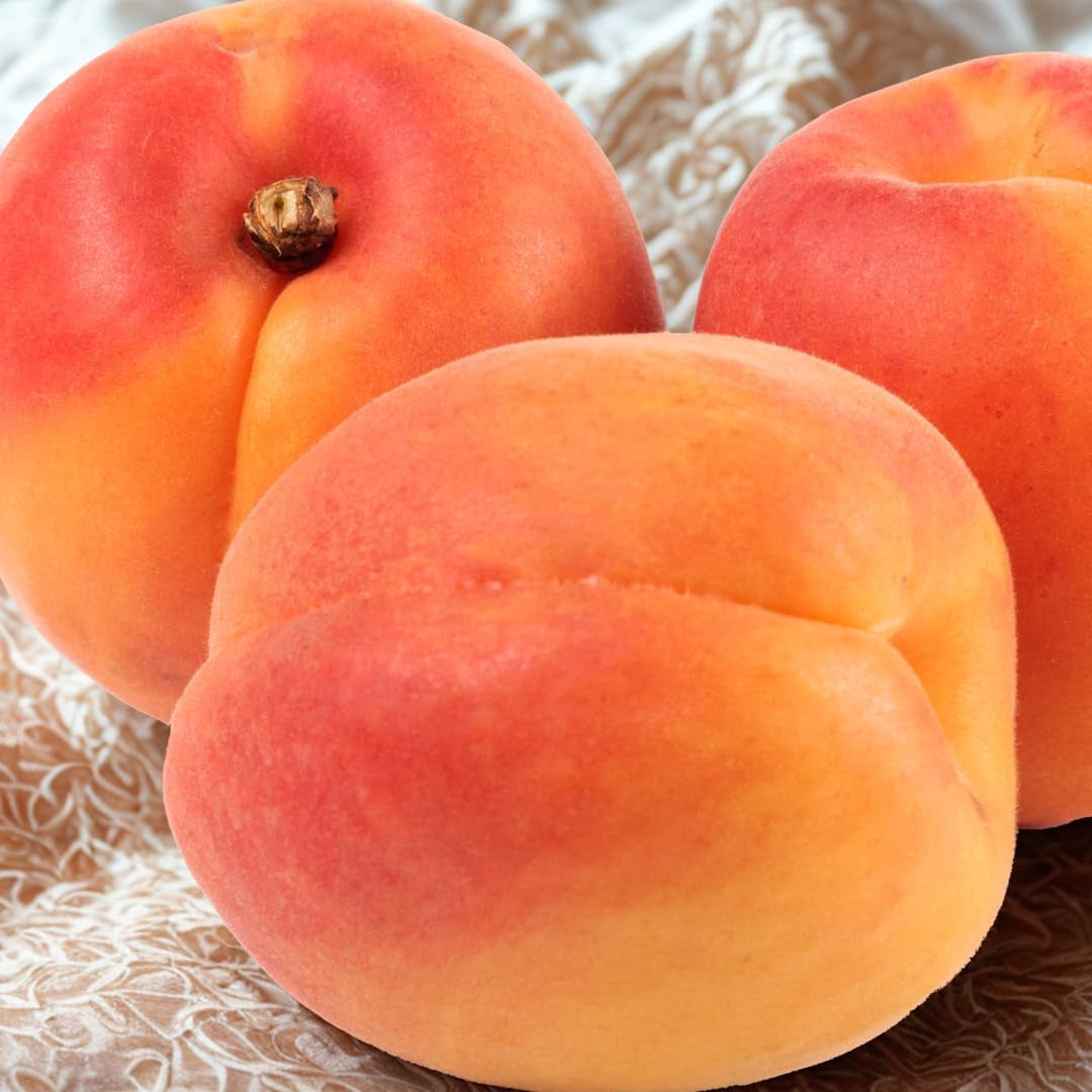 Pfirsiche Mit Gelbem Fleisch Fayette - Obstpflanze Alte Frucht Auf Blumentopf 26 Innestata Su Portainnesto - Baum Max 120 Cm - 4 Jahre Anbau Italien