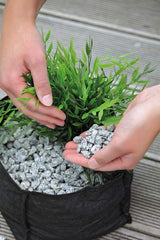 Coș de plantare textil pătrat OASE 51203, capacitate 30,27 l - pentru plante acvatice, plantare în iaz, facilitează pregătirea pentru iarnă, fixare sigură pe fundul iazului