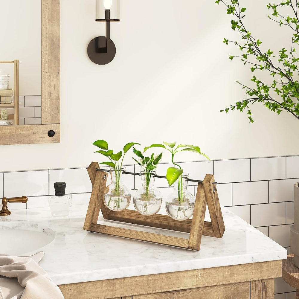 Bamworld Hydroponic Propagation Station with Wooden Stand - 3 Glass Vases for Aquatic Plant Growing and Home Decoration