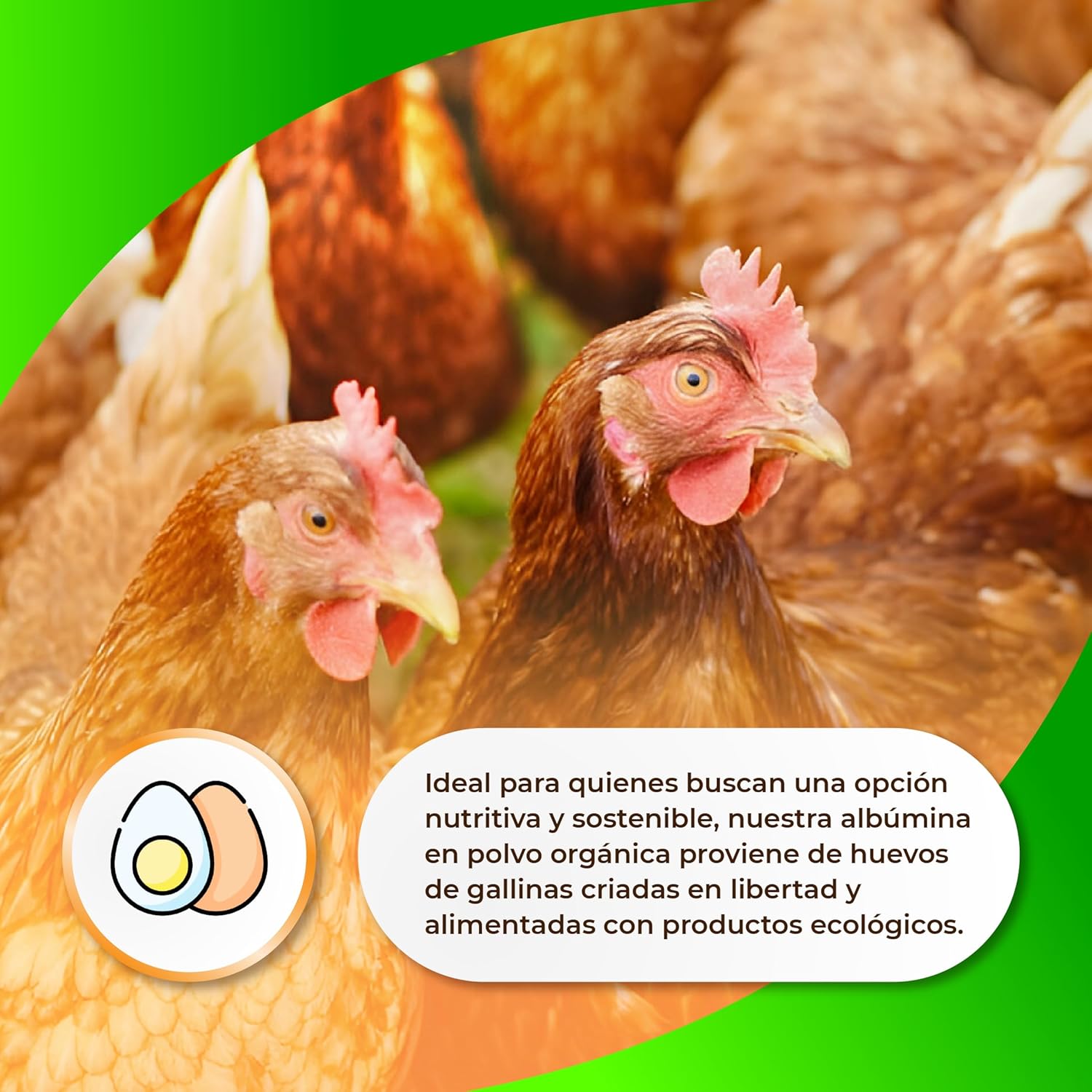 Sermand Nutrition Egg Albumin 100% Powder Gluten Free Lactose Free
