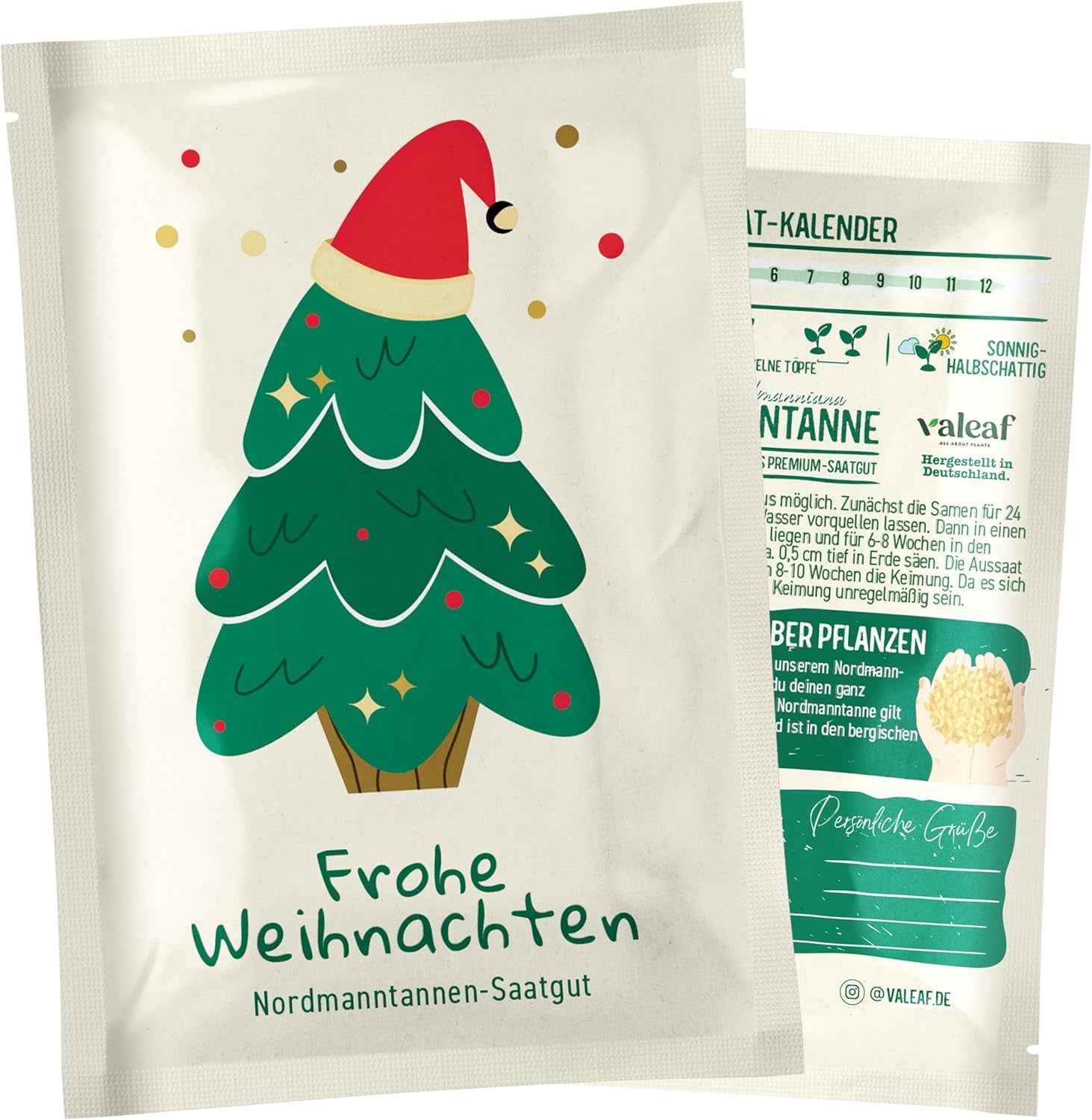 Christmas Tree 2030 - Nordmann Christmas tree seeds for planting a Christmas tree, ideal as a Secret Santa Christmas gift