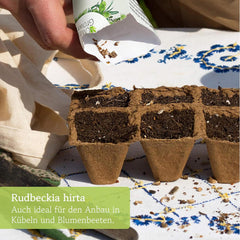 Echinacea Seeds: Premium Yellow Echinacea Seeds for About 20 Flowering Echinacea Plants – Rudbeckia Seeds – Hardy Rudbeckia – Echinacea Perennials – Hardy Perennials by OwnGrown