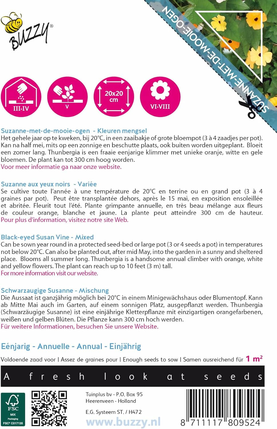 Buzzy climbing flowers, Thunbergia mix