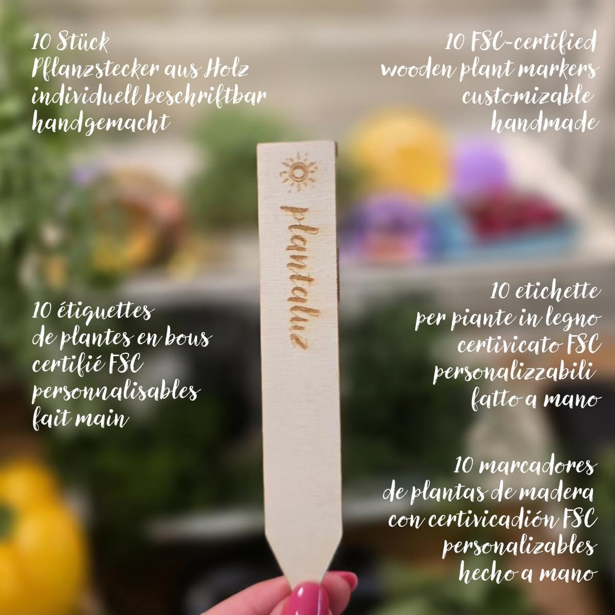 Set de semințe premium organice Plantaluz P03 – Set de semințe pentru plante culinare și medicinale pentru grădină, balcon și interior – incl. bețe de plantare FSC – Semințe organice polenizate liber, netratate și fără OMG-uri