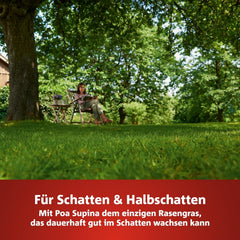 Wolf-Garten Turbo-Nachsaat „SCHATTEN“ Zur Rasensanierung LR-S 50 (Für 50 M², Hohe Dichte Mit Ca. 100.000 Trieben/M², Speziell Auf Schattige Lagen, Mit Wolf-Garten Keimgarantie, Im 1Kg Karton) 3826636