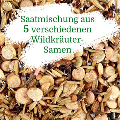 Wildkräuter Samen: Bunte Premium Kräuter Samen Mischung mit Löwenzahn Samen, Sauerampfer, Spitzwegerich uvm – Unkraut Samen Mix für Garten, Balkon – Kräuter Pflanzen Saatgut alte Sorten von OwnGrown