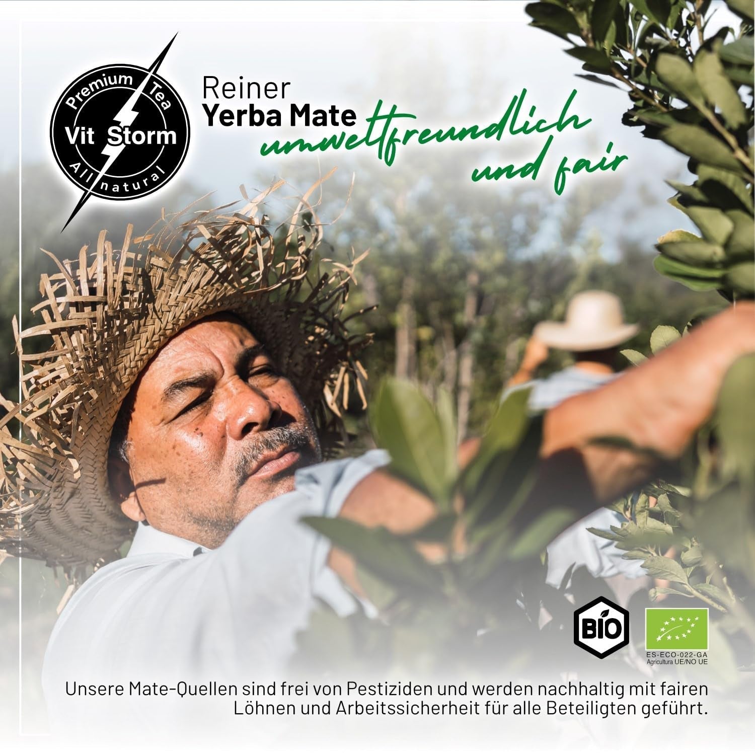 VITSTORM® Slim Tea Cardamom – Ceai Yerba Mate BIO – Cură de detoxifiere și ceai diuretic – 100G