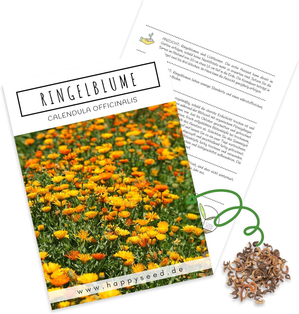 Calendula seeds (Calendula officinalis) - Versatile medicinal plant with edible flowers and ideal for a colorful flower meadow (Abendrot)
