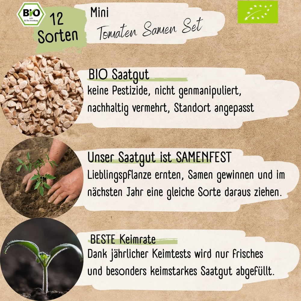 Organic Mini Tomato Seed Set: 12 Varieties of Free Grown Tomatoes | Rare and Family Cocktail, Cherry and Beefsteak Tomato Seeds | Vegetable seeds for balcony, raised bed, garden and gift | Loveplants