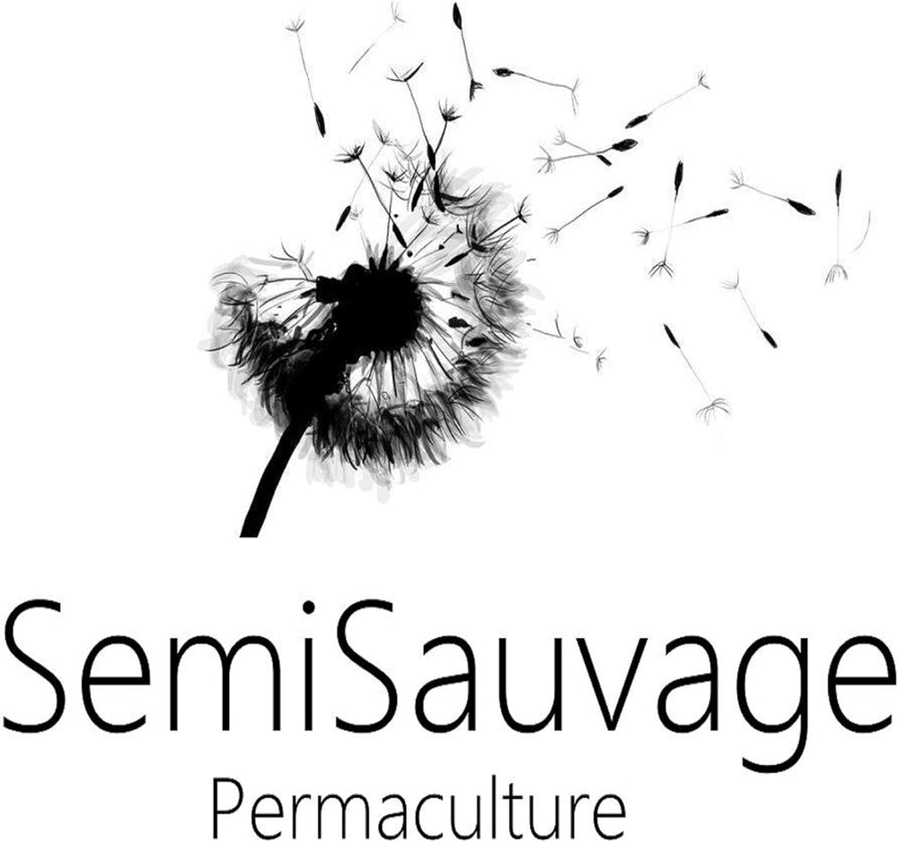 25 Seeds for Papes - Ancient Garden Flowering Plant - Reproducible Seeds for Farmers, Semi-Wild