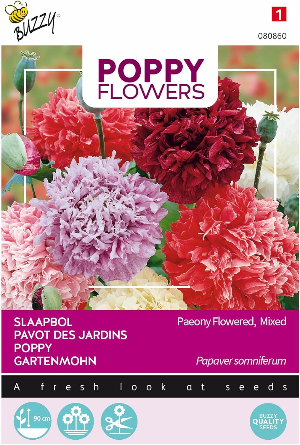 Poppy flowers Buzzy Mac Paeoniflorum Gef. Mix.