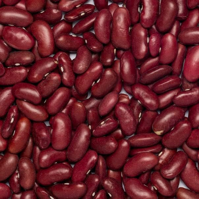 Red beans Wholefood Earth Organic 1kg Raw | Vegan | Non-GMO | Dark red | Rich in fiber | Rich in protein | Certified organic