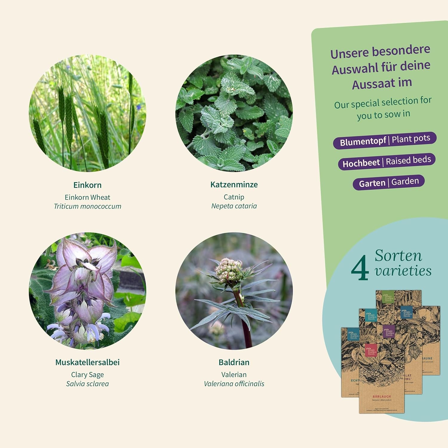 Magic Garden Seeds - Herbs for Cats: Catnip, Valerian, Sage and Catnip - Seed Box with 4 Plants for Play, Nibbles and Relaxation