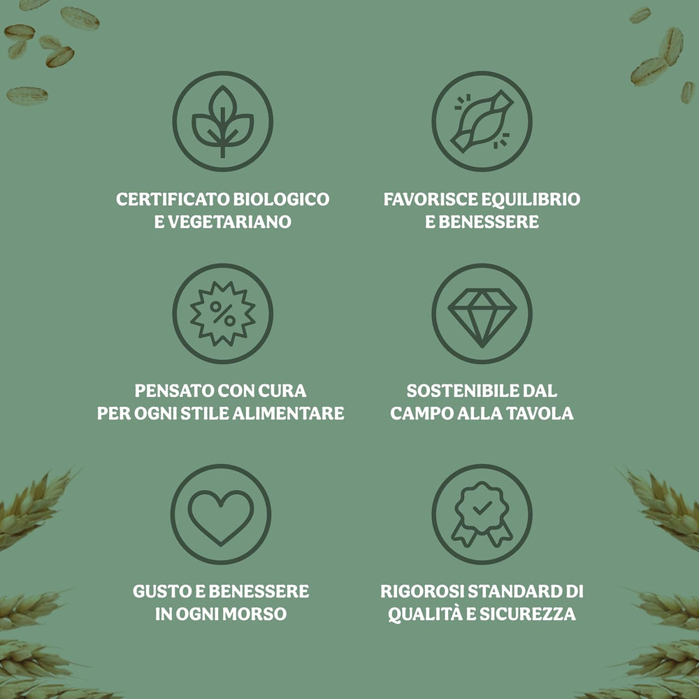 Light organic cornflakes 500g per pack