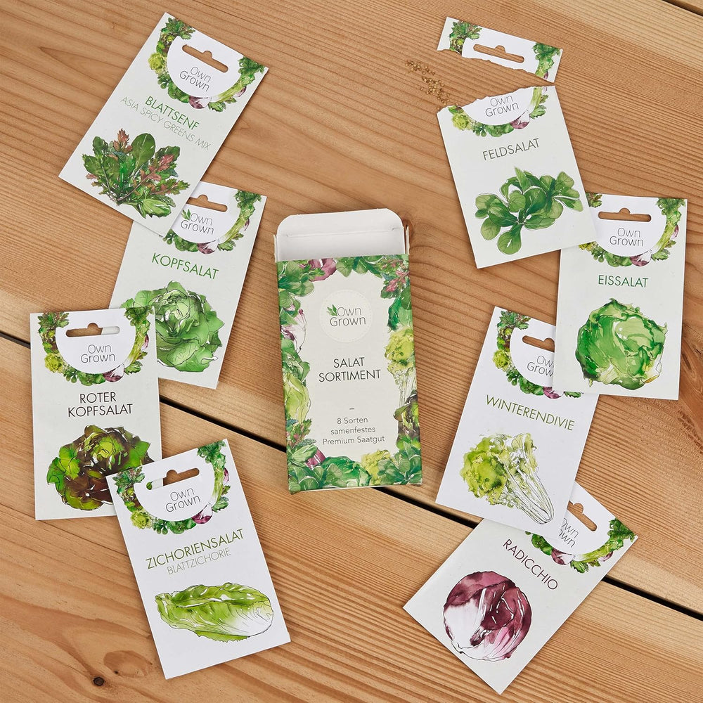 Lettuce Seeds: Set of 8 Varieties of Salad Seeds for the Garden and Balcony - Lettuce Seeds, Mustard Leaf, Lamb's Lettuce (Hardy), Radicchio, Endive Seeds, Chicory - Salad Vegetable Seeds from OwnGrown