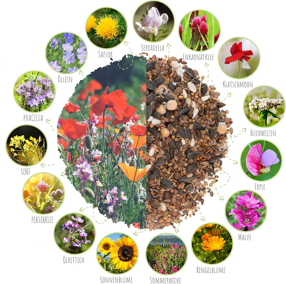100g Butterfly Seeds for a Colorful Flower Meadow - Colorful and Nectar Rich Wild Flower Seed Mix for Butterflies