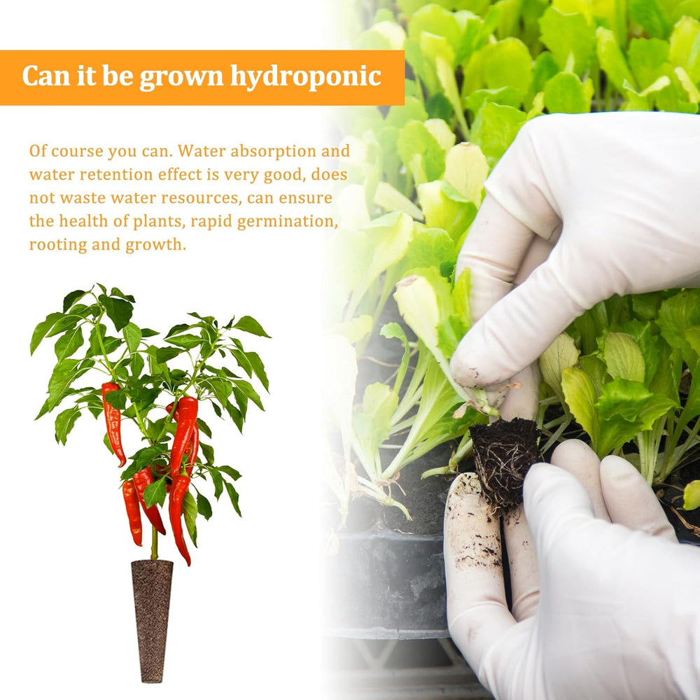 50 Hydroponic Grow Sponges, Hydroponic Seedling Sponges, Root Growing Sponge Plugs, Suitable for Various Kinds of Buds, Such as Tomato, Strawberry, Mint