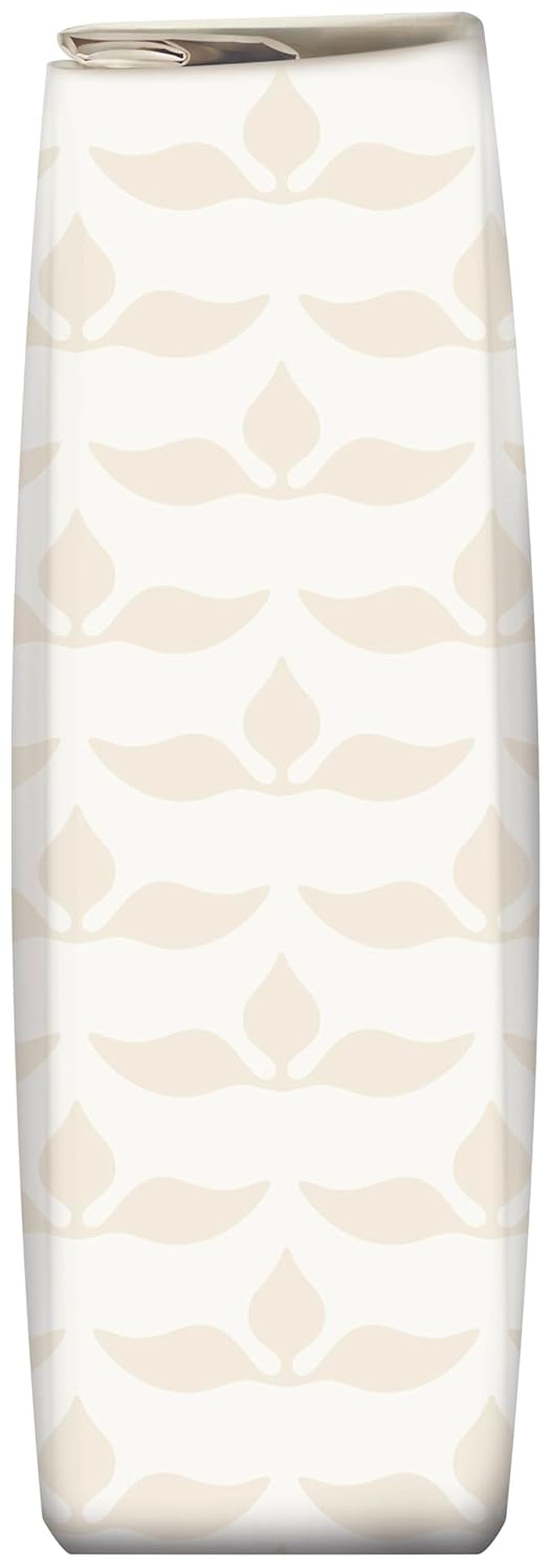 Fuchs Professional - Kümmel ganz | Ungemahlen, zum Würzen von Bratkartoffeln oder Krautgerichten | Profi-Qualität für Großverbraucher und Gastronomie | 1 kg im recyclable bag