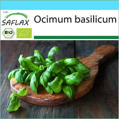 SAFLAX - Geschenk Set - BIO - Basilikum Sweet Genovese - 800 Samen - Mit Geschenk- / Versandbox, Versandaufkleber, Geschenkkarte Und Anzuchtsubstrat - Ocimum Basilicum