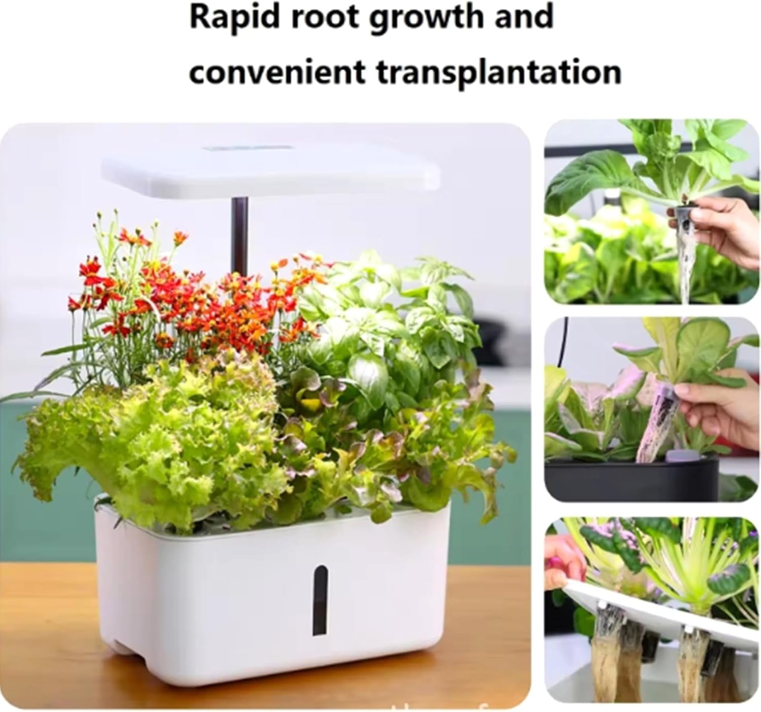 50 Replacement Growing Sponges, Seed Establishment Tubes, Root Growing Sponge Plugs, Hydroponic Grow Kits for Hydroponic Grow Systems, Indoor Hydroponics, Garden