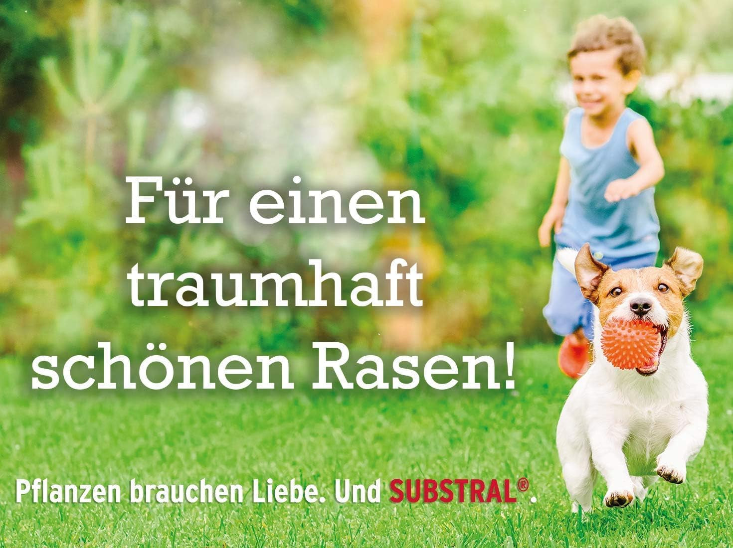 Substral Rasensamen Der Robuste, 1 Kg Für 50 M² - Sport- Und Spielrasen, Einzigartige Strapazierrasen-Mischung