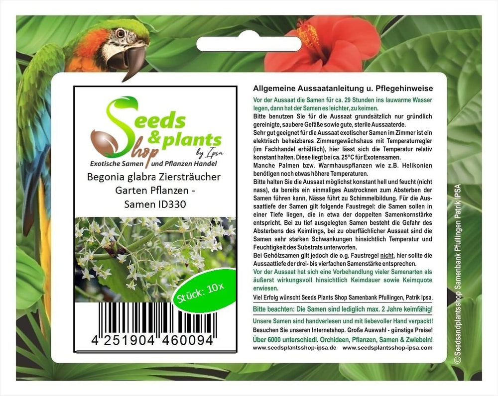 Stk - 10X Begonia Glabra Ziersträucher Garten Pflanzen - Samen ID330 -