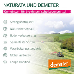 Organic Whole Spelled Lasagna Sheets, 250g | Demeter Spell from the Swabian Alps | Delicate nut flavor for lasagna and casseroles