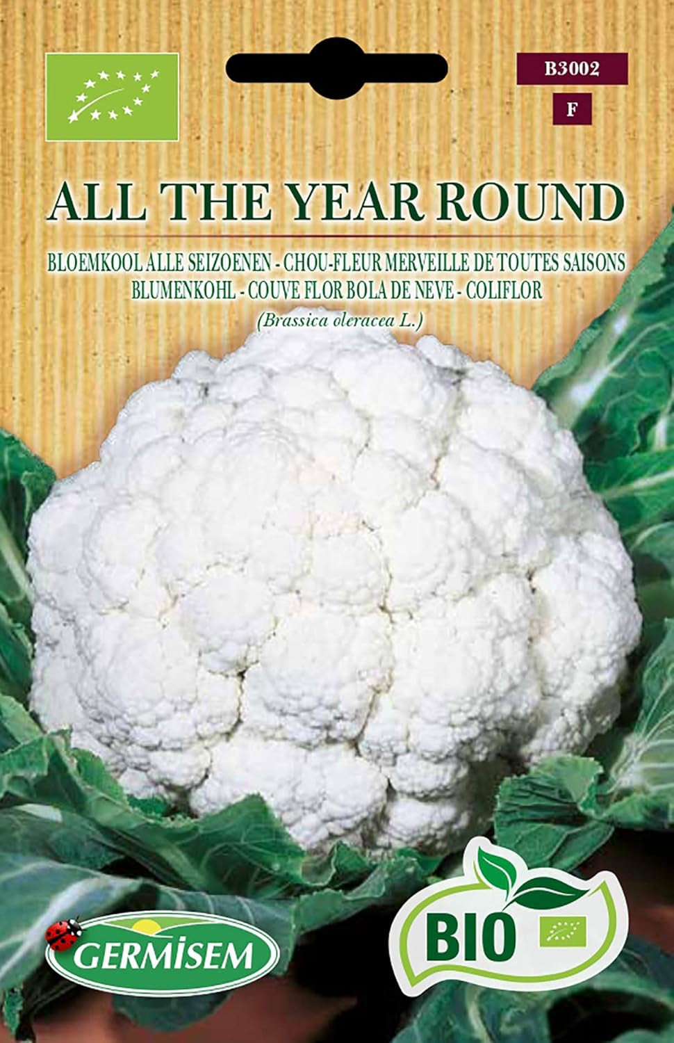Blumenkohl ALL the YEAR ROUND, ECBIO3002