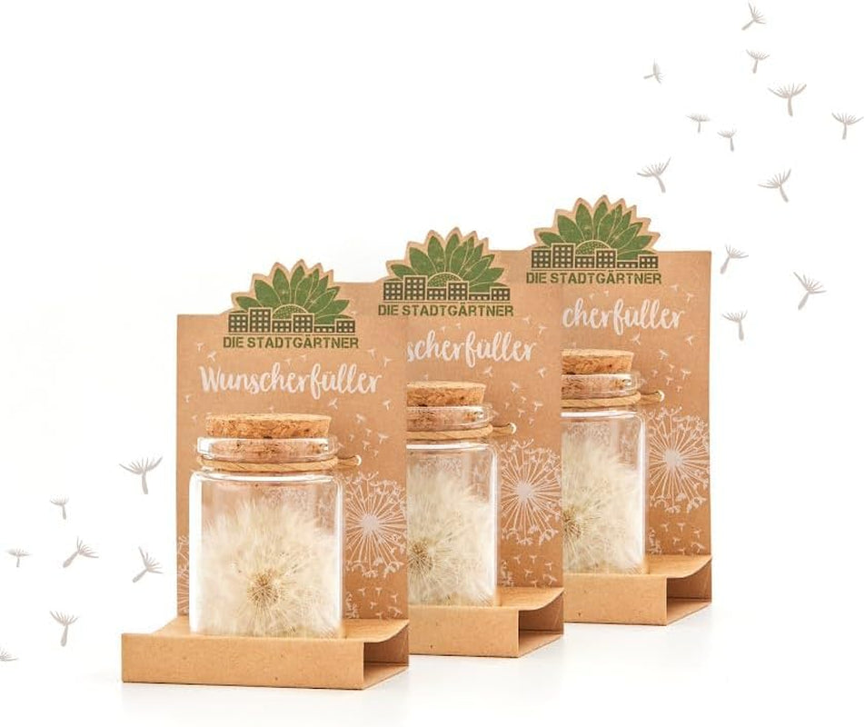 Die Stadtgärtner – 3X Wunscherfüller I Echte Pusteblume Im Glas I Ewig Haltbar I Perfekte Geschenkidee Für Jeden Anlass I Geschenke Für Frauen & Freundin