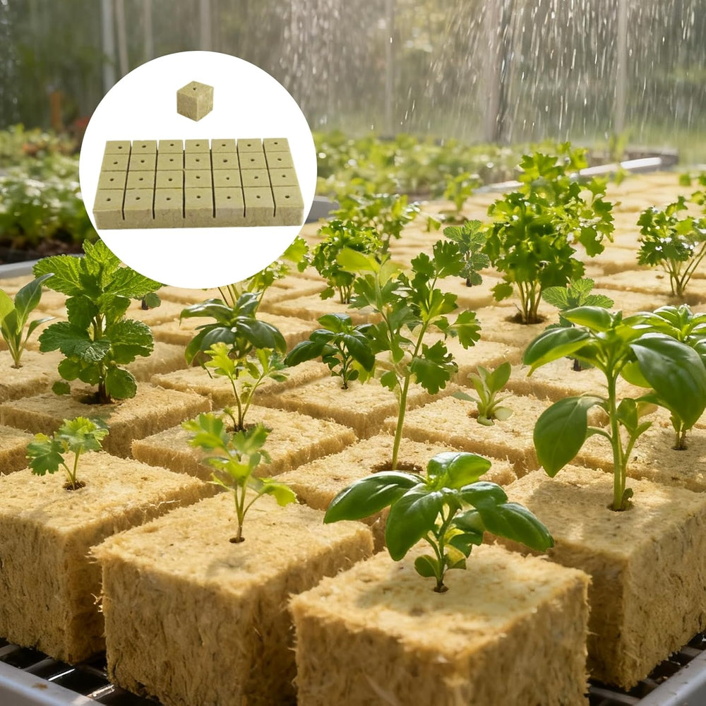 100 Rockwool Propagation Cubes 25x25x25mm With Gloves Rockwool Insulation Easy Plug Propagation Cubes Hydroponics Rockwool Cubes Cuttings Soilless Propagation