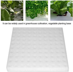 Hydroponic Sponge, 100 Pcs Hydroponic Sponges for Growing Seeds, Gardening Tool for Small Bud Plants or Seedlings
