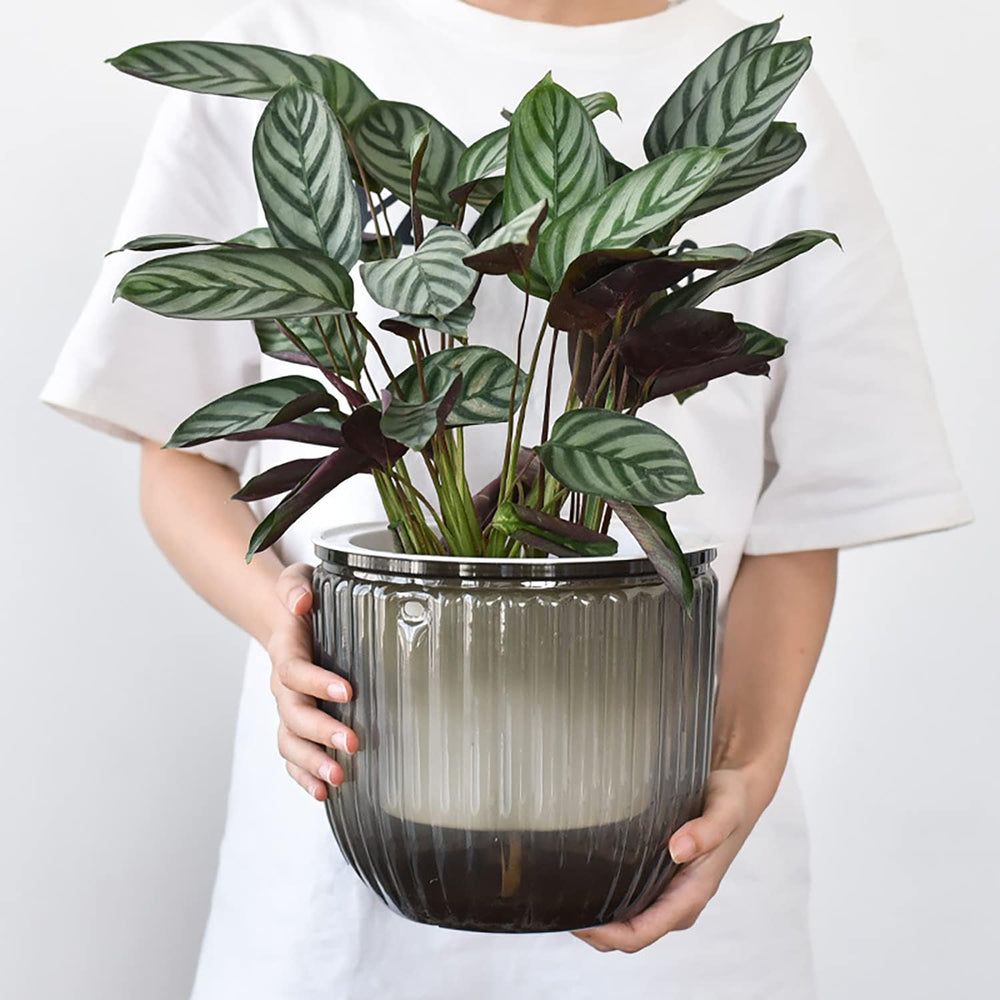 Set of 2 Self-Watering Hanging Planters, 16.5cm Indoor Hanging Flower Pot with 3 Hooks and Drainage Holes for Indoor and Outdoor Use, Ceiling, Balcony and Wall Decoration (Grey)