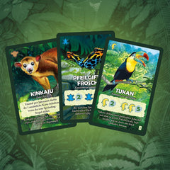 Kosmos 682194 Treetops, Under the Rainforest Canopy, Game for Two Players, Party Game, Board Game for ages 10 and up about the rainforest, trees, plants and animals