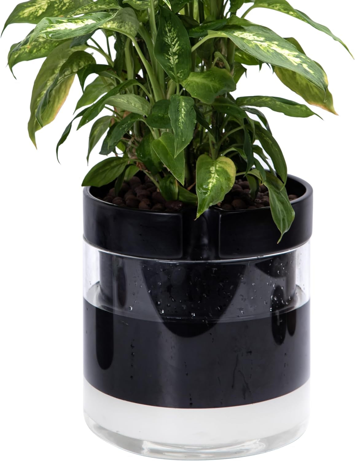 Ghiveci cu auto-udare, 15,2 cm, ghiveci din teracotă cu rezervor de sticlă pentru plante de apartament, ierburi aromatice, flori, 52-AF