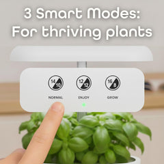 New 7 Bridge + Heirloom Basil | Smart Garden for Home Cooks | Hydroponic growing system | LED Grow Lights | Indoor Herb Gardening Kit for Plant Lovers and Gardeners, White