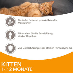 IAMS Delights Kitten Nassfutter - Multipack Katzenfutter mit Huhn in Sauce, hochwertiges Futter für Junior Kätzchen von 1-12 Monate, 12 x 85 g