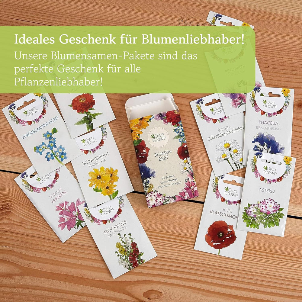 Echinacea Seeds: Premium Yellow Echinacea Seeds for About 20 Flowering Echinacea Plants – Rudbeckia Seeds – Hardy Rudbeckia – Echinacea Perennials – Hardy Perennials by OwnGrown