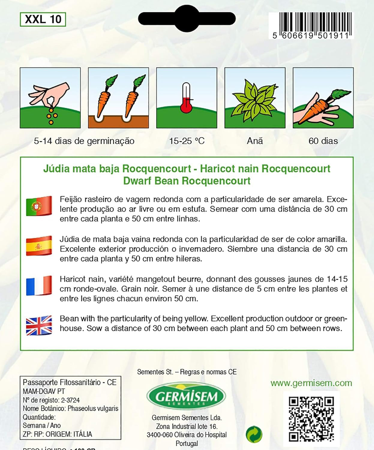 Buschbohnen ROCQUENCOURT