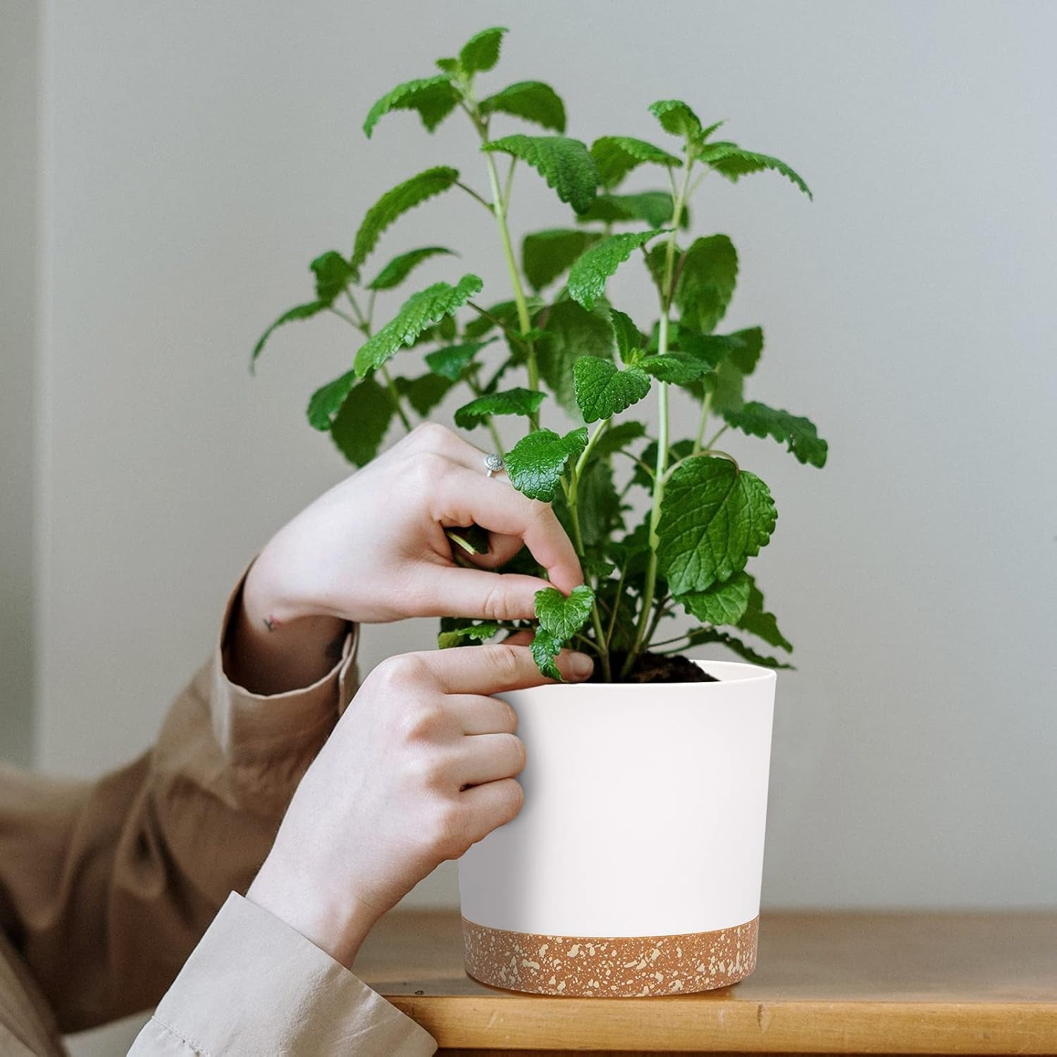 12.7cm Set of 2 Flower Pots, Indoor Plant Pots with Drainage Holes and Removable Base, Modern Decorative Saucers for Outdoor Garden Planters (White 12.7cm)