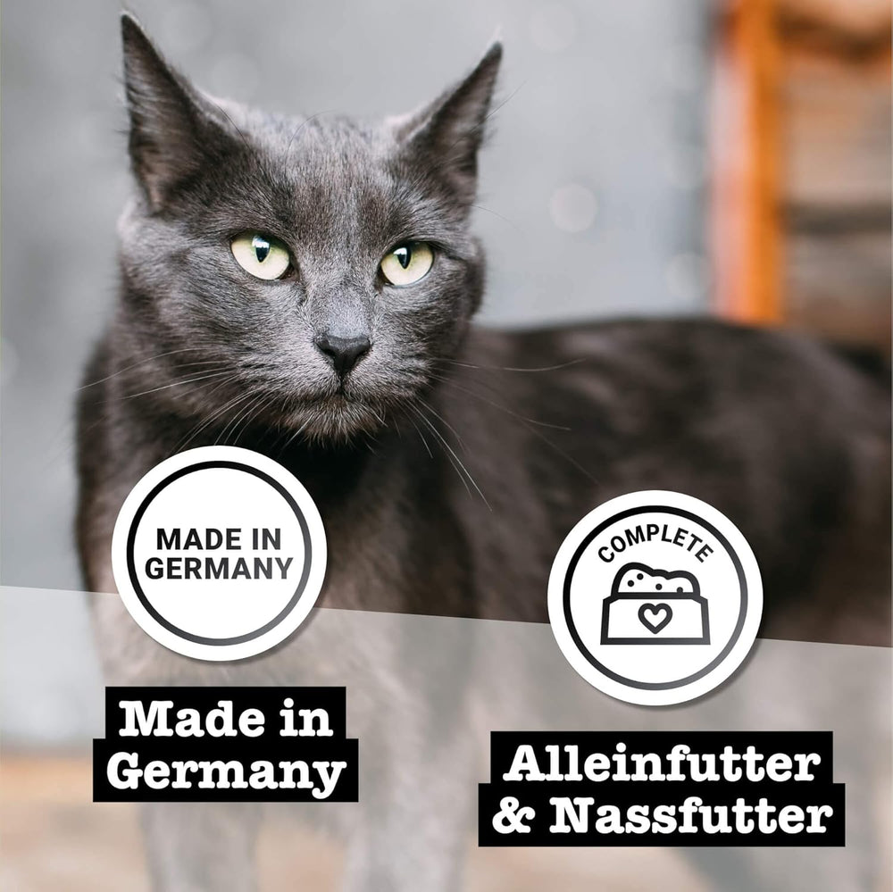 Hrană umedă pentru pisici Catz Finefood Purrrr cu monoproteină și somon nr. 105, pentru pisici cu digestie sensibilă, 16 x 80 g