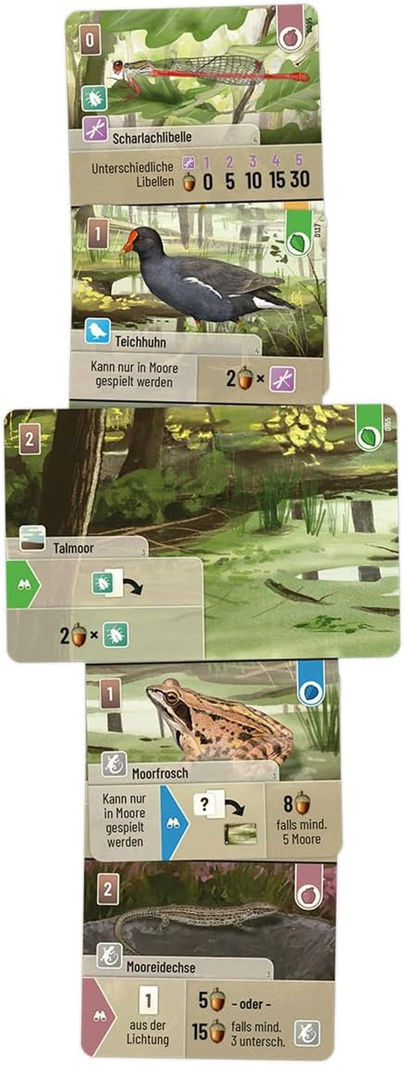 Lookout, Pădure mixtă: Dartmoor, Joc de bază, Joc de familie, Joc de cărți, 2-5 jucători, Vârste 10+, 60 de minute, Germană