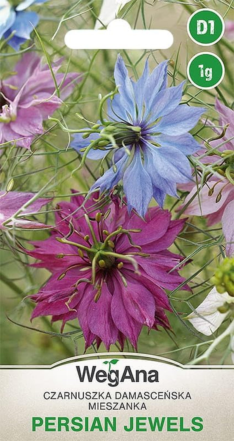 Cosmos Sensation Mix 1g seeds, Cosmos Mix Summer flowers, Garden plants Balcony plants, Flower seeds