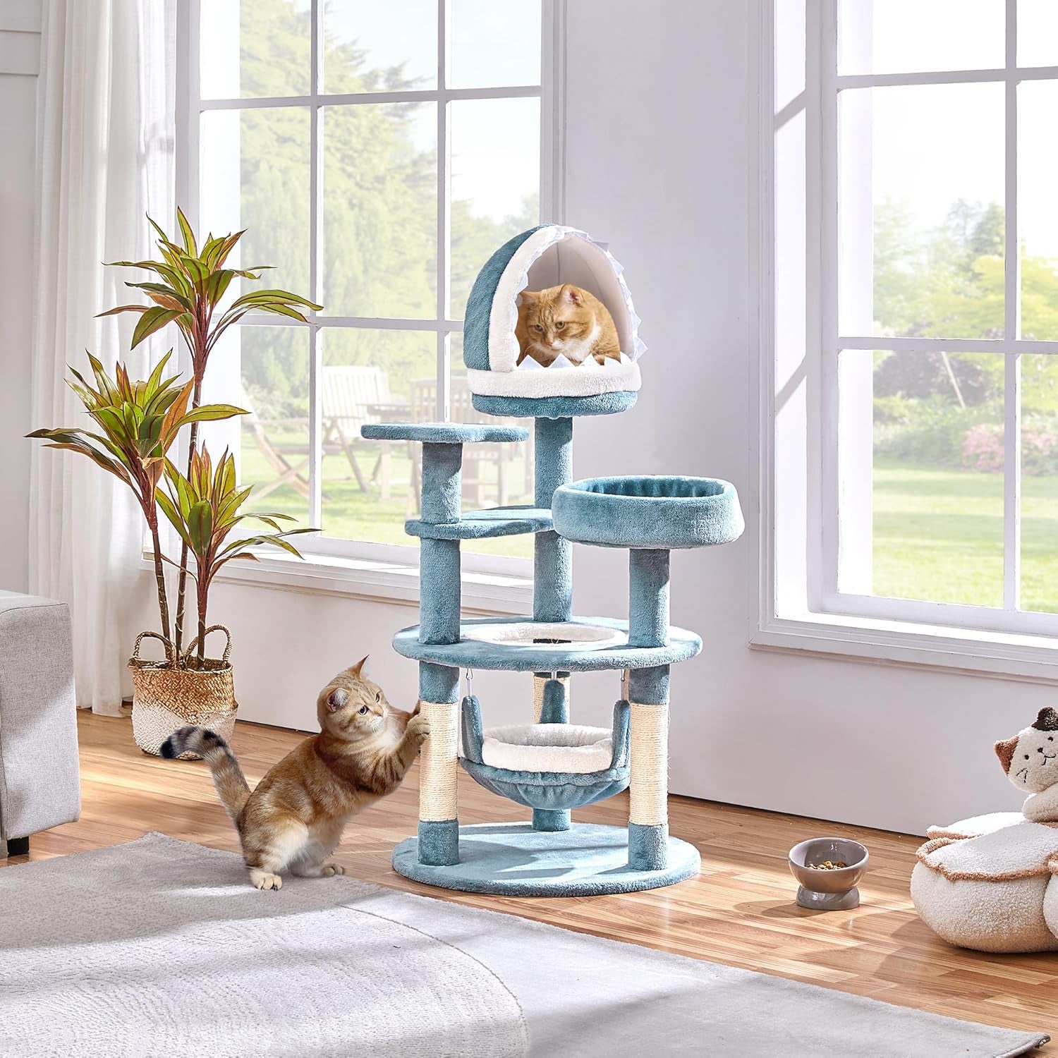 Pături & Mobilier, Animale de companie, Pisici, Paturi pentru pisici, Scratching Post, Pisici - culcusuri, saltele