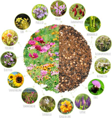 100g Wildflower Seeds for a Colorful Bee Pasture - Vibrant and Nectar Rich Wildflower Seed Blend for Bees and Butterflies (Includes FREE eBook)