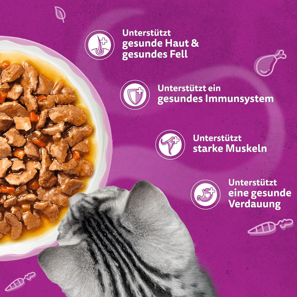 WHISKAS Hrană umedă aromatică pentru pisici în sos 40 x 85g Selecție de pește